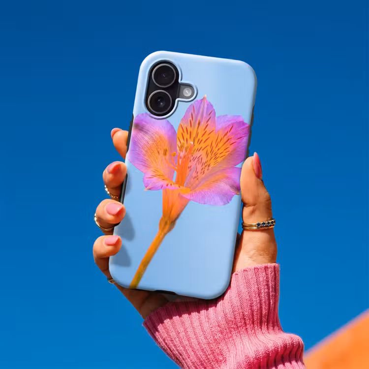 Bloem - Detail - Kleurrijk Toughcase MagSafe Apple iPhone 17 klein -Sfeer1V