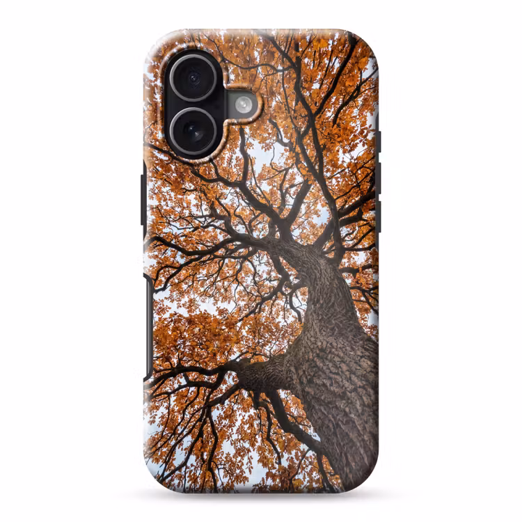 Boom - Bladerdak - Herfst - Oranje - Sfeervol Toughcase MagSafe Apple iPhone 17 klein -3d