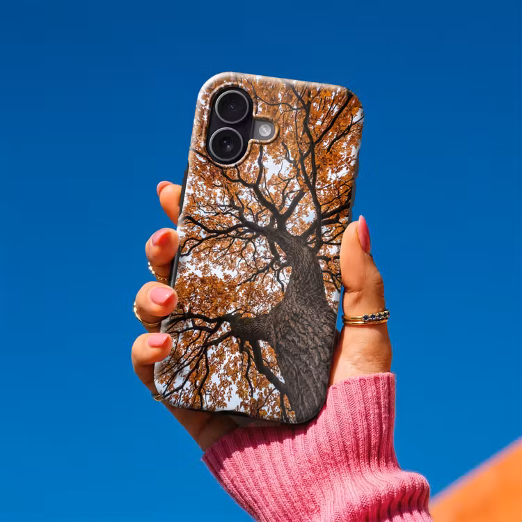 Boom - Bladerdak - Herfst - Oranje - Sfeervol Toughcase MagSafe Apple iPhone 17 klein -Sfeer1V