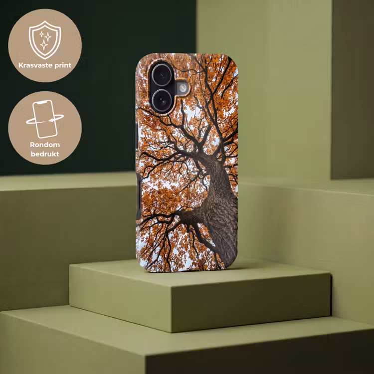Boom - Bladerdak - Herfst - Oranje - Sfeervol Toughcase MagSafe Apple iPhone 17 klein -USP_PrintM_NL