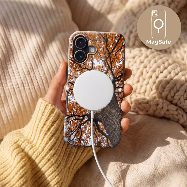 Boom - Bladerdak - Herfst - Oranje - Sfeervol Toughcase MagSafe Apple iPhone 17 klein -USP_MagsafeV