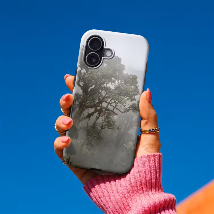 Boom - Mistig - Bos - Groen - Natuur Toughcase MagSafe Apple iPhone 17 klein -Sfeer1V