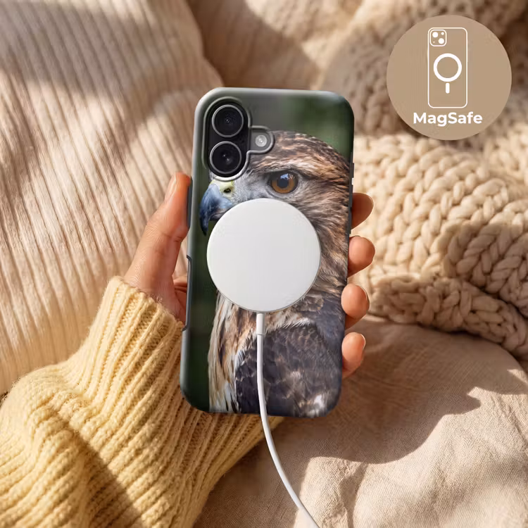Buizerd - Roofvogel - Natuur - Bruin Toughcase MagSafe Apple iPhone 17 klein -USP_MagsafeV