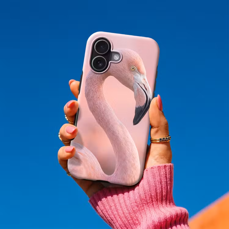 Flamingo - Portret - Roze Toughcase MagSafe Apple iPhone 17 klein -Sfeer1V