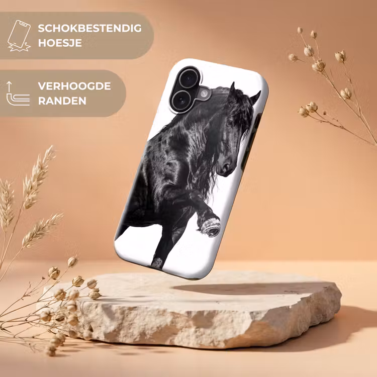 Fries - Hengst - Modern Toughcase MagSafe Apple iPhone 17 klein -USP_RandenV_NL