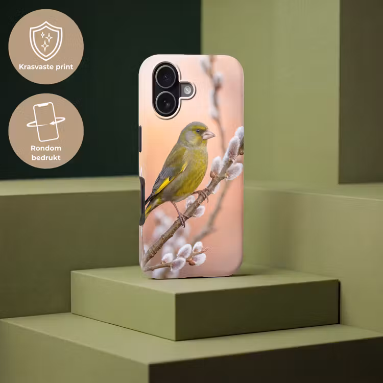 Groenling - Katjes - Lente - Natuur - Zacht Toughcase MagSafe Apple iPhone 17 klein -USP_PrintM_NL