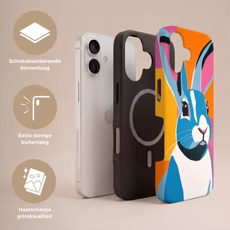Haas - Kleurvakken - Oren - Roze Toughcase MagSafe Apple iPhone 17 klein -USP_Lagen_NL