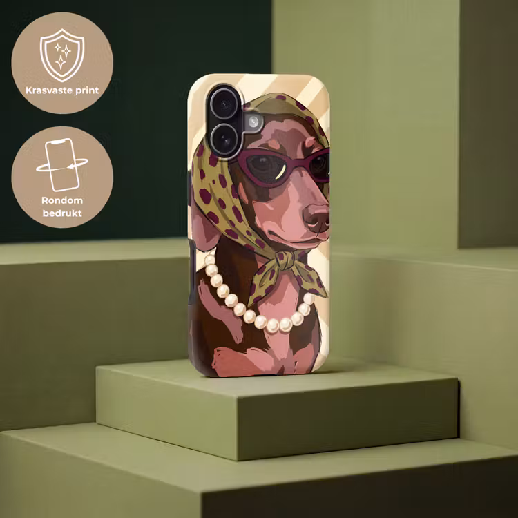 Hond - Zonnebril - Hoofddoek - Dieren - Modern Toughcase MagSafe Apple iPhone 17 klein -USP_PrintM_NL