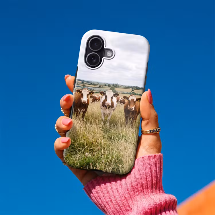 Koeien - Portret - Weide - Boerderij - Nieuwsgierig Toughcase MagSafe Apple iPhone 17 klein -Sfeer1V
