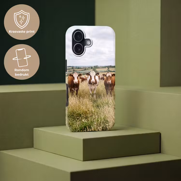 Koeien - Portret - Weide - Boerderij - Nieuwsgierig Toughcase MagSafe Apple iPhone 17 klein -USP_PrintM_NL