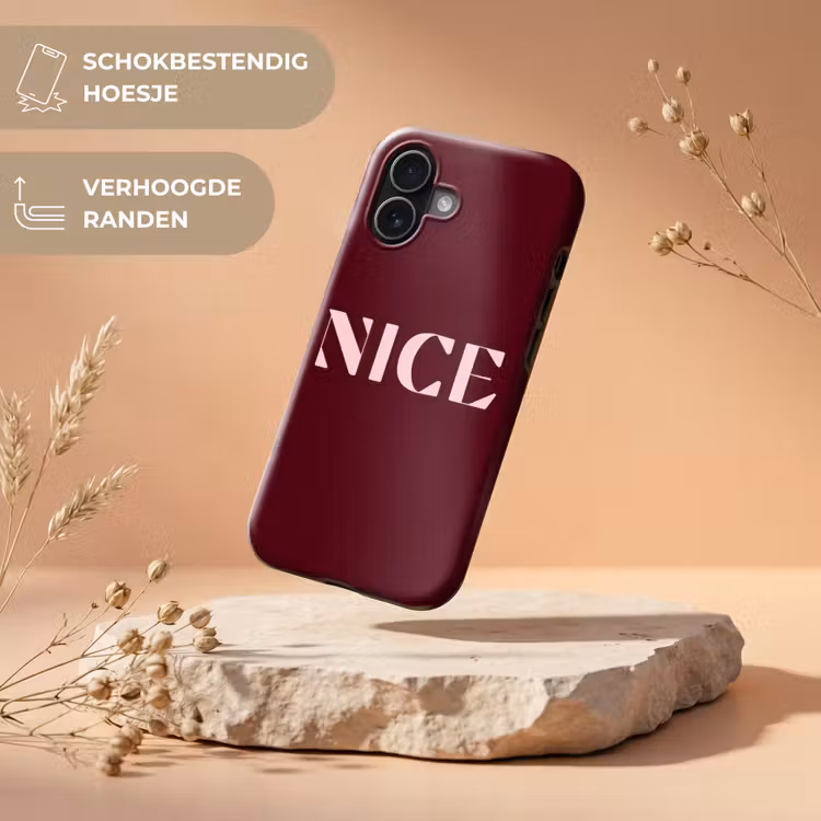 Nice - Bordeaux - Roze Toughcase MagSafe Apple iPhone 17 klein -USP_RandenV_NL