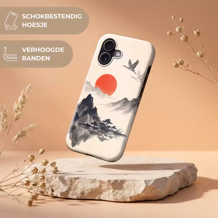 Oosters - Kraanvogels - Landschap Toughcase MagSafe Apple iPhone 17 klein -USP_RandenV_NL