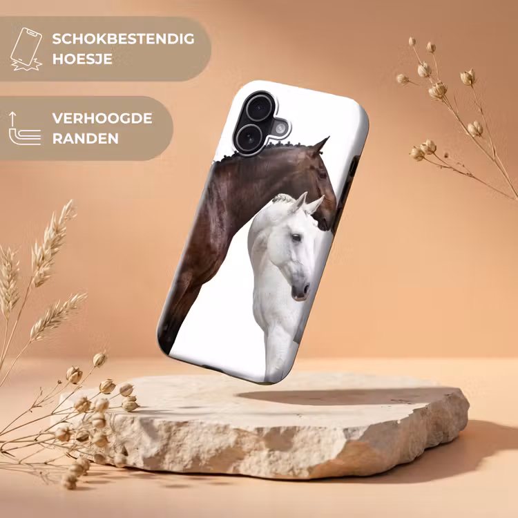 Paard - Modern - Balans Toughcase MagSafe Apple iPhone 17 klein -USP_RandenV_NL