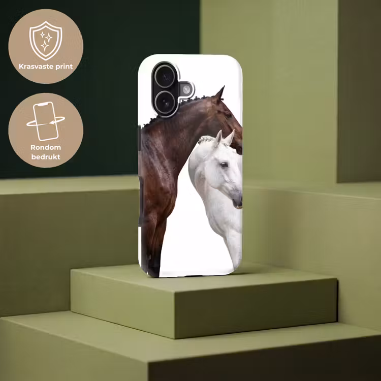 Paard - Modern - Balans Toughcase MagSafe Apple iPhone 17 klein -USP_PrintM_NL