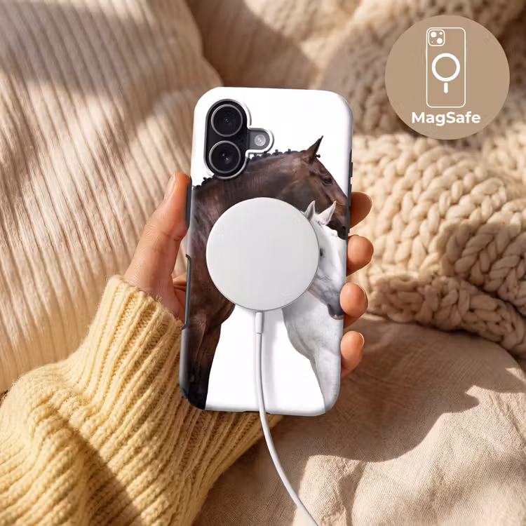 Paard - Modern - Balans Toughcase MagSafe Apple iPhone 17 klein -USP_MagsafeV