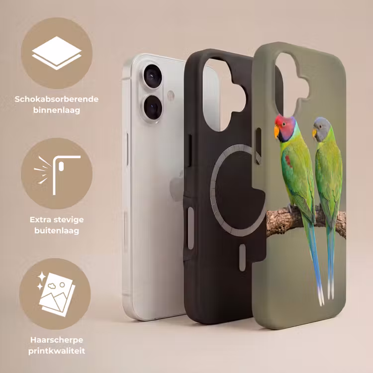 Papagaai - Tak - Natuur - Kleurrijk Toughcase MagSafe Apple iPhone 17 klein -USP_Lagen_NL
