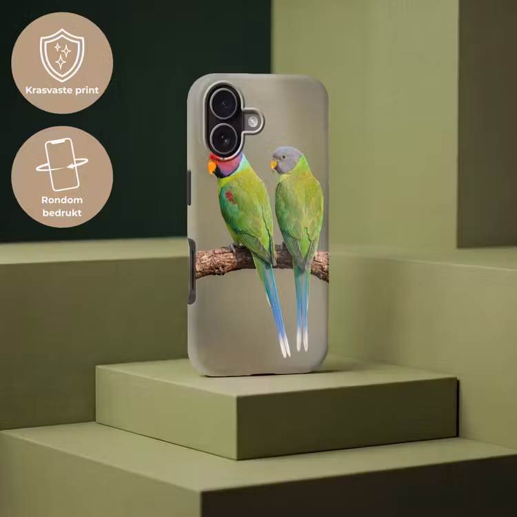 Papagaai - Tak - Natuur - Kleurrijk Toughcase MagSafe Apple iPhone 17 klein -USP_PrintM_NL