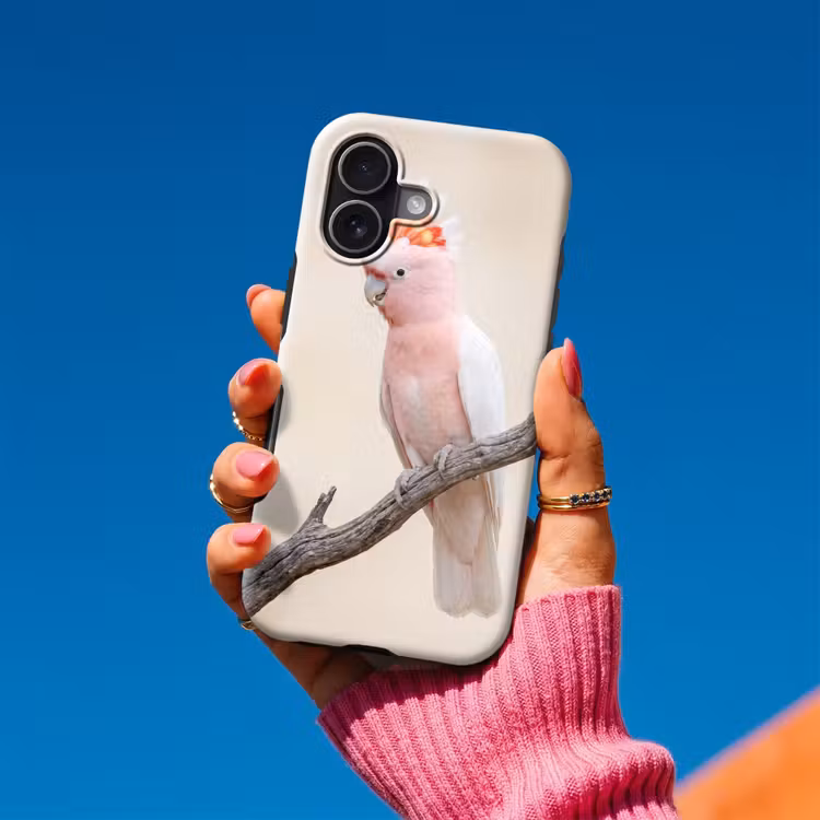 Papagaai - Tak - Roze Toughcase MagSafe Apple iPhone 17 klein -Sfeer1V