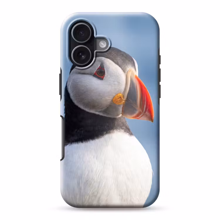 Papegaaiduiker - Portret - Natuur Toughcase MagSafe Apple iPhone 17 klein -3d