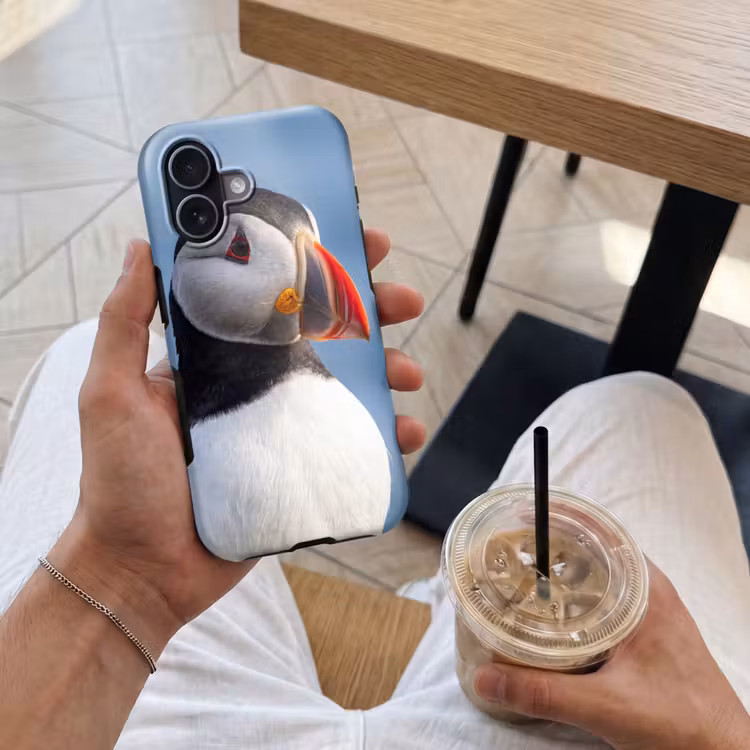 Papegaaiduiker - Portret - Natuur Toughcase MagSafe Apple iPhone 17 klein -Sfeer1M