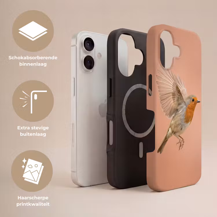 Roodborst - Natuur - Roze Toughcase MagSafe Apple iPhone 17 klein -USP_Lagen_NL