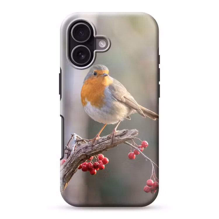 Roodborst - Tak - Bessen - Natuur Toughcase MagSafe Apple iPhone 17 klein -3d