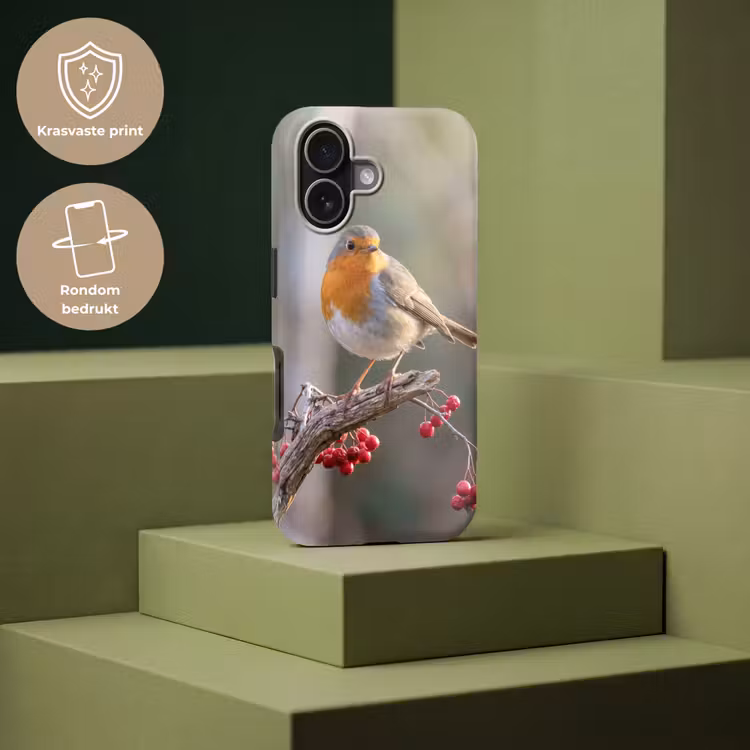 Roodborst - Tak - Bessen - Natuur Toughcase MagSafe Apple iPhone 17 klein -USP_PrintM_NL