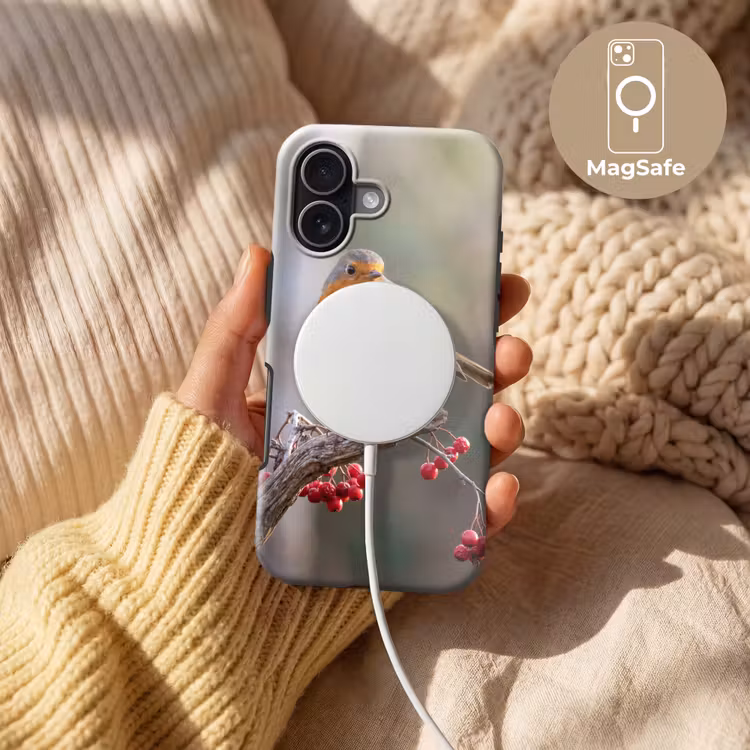 Roodborst - Tak - Bessen - Natuur Toughcase MagSafe Apple iPhone 17 klein -USP_MagsafeV