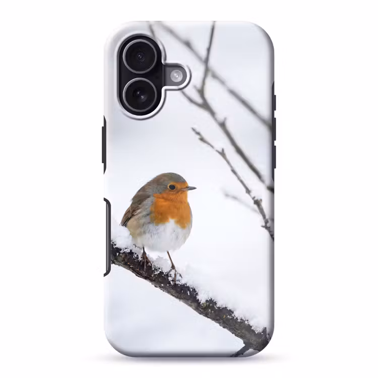 Roodborstje - Tak - Sneeuw - Winter - Levendig Toughcase MagSafe Apple iPhone 17 klein -3d