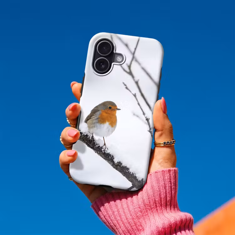 Roodborstje - Tak - Sneeuw - Winter - Levendig Toughcase MagSafe Apple iPhone 17 klein -Sfeer1V