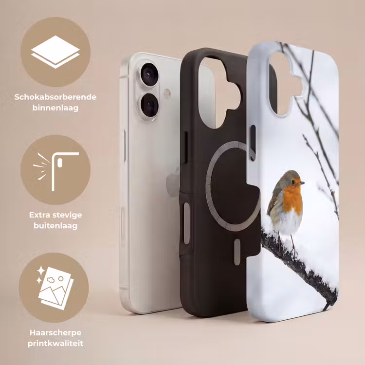 Roodborstje - Tak - Sneeuw - Winter - Levendig Toughcase MagSafe Apple iPhone 17 klein -USP_Lagen_NL
