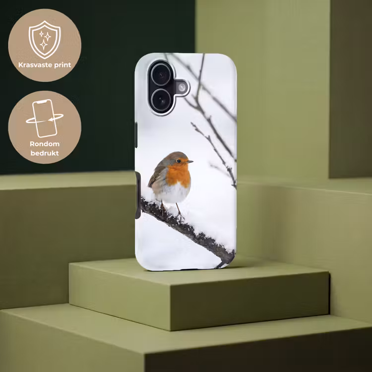 Roodborstje - Tak - Sneeuw - Winter - Levendig Toughcase MagSafe Apple iPhone 17 klein -USP_PrintM_NL
