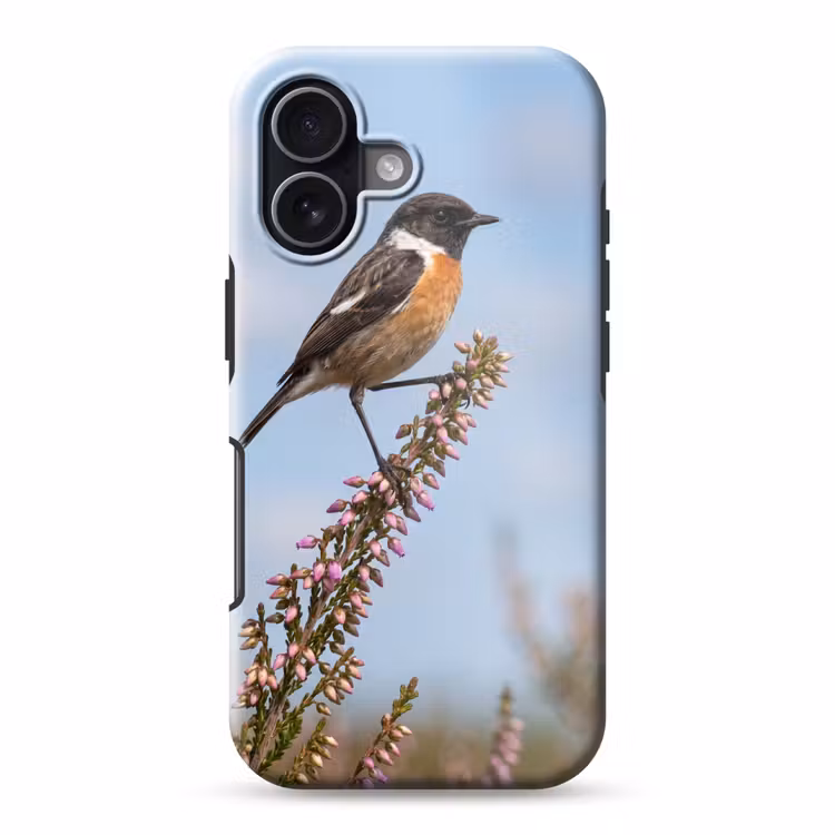 Roodborsttapuit - Heide - Paars - Natuur - Sfeervol Toughcase MagSafe Apple iPhone 17 klein -3d