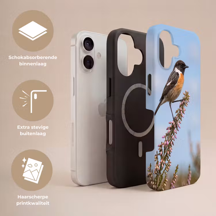 Roodborsttapuit - Heide - Paars - Natuur - Sfeervol Toughcase MagSafe Apple iPhone 17 klein -USP_Lagen_NL