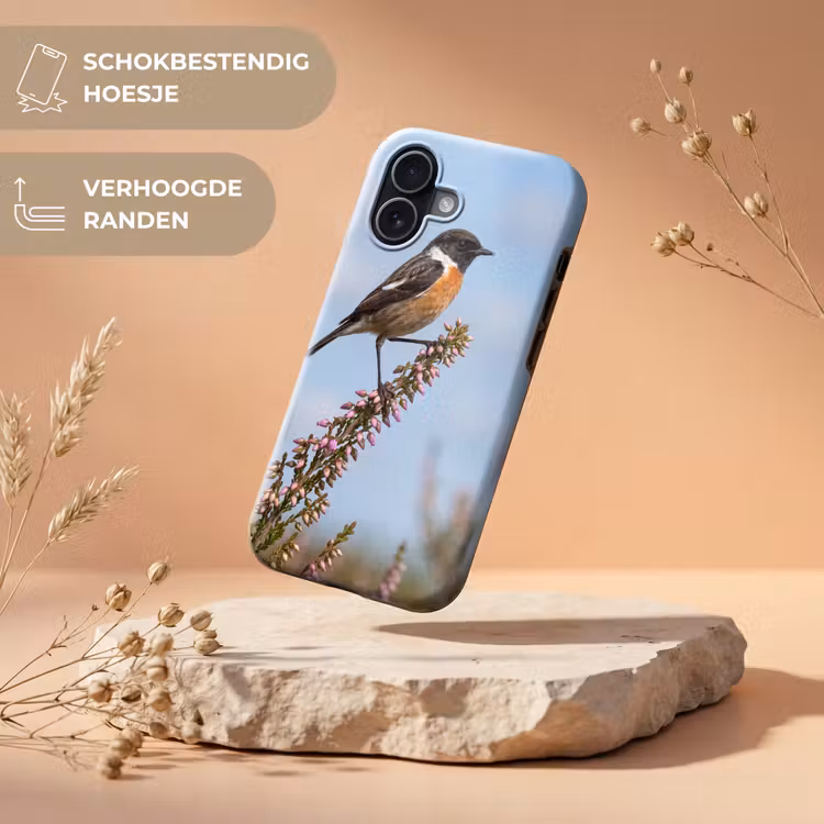 Roodborsttapuit - Heide - Paars - Natuur - Sfeervol Toughcase MagSafe Apple iPhone 17 klein -USP_RandenV_NL