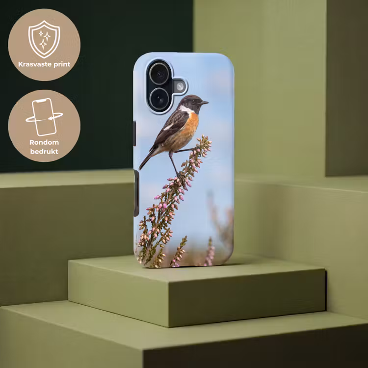 Roodborsttapuit - Heide - Paars - Natuur - Sfeervol Toughcase MagSafe Apple iPhone 17 klein -USP_PrintM_NL