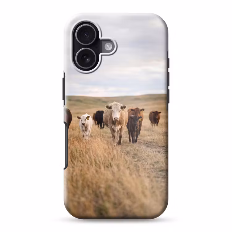 Runderen - Kudde - Landschap - Weide - Rustig Toughcase MagSafe Apple iPhone 17 klein -3d