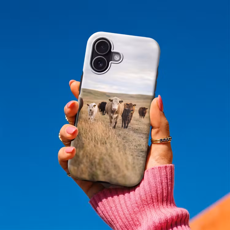 Runderen - Kudde - Landschap - Weide - Rustig Toughcase MagSafe Apple iPhone 17 klein -Sfeer1V