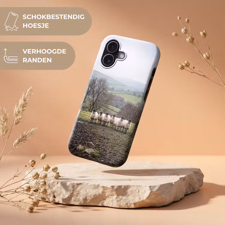 Schapen - Rij - Weide - Dieren - Platteland Toughcase MagSafe Apple iPhone 17 klein -USP_RandenV_NL