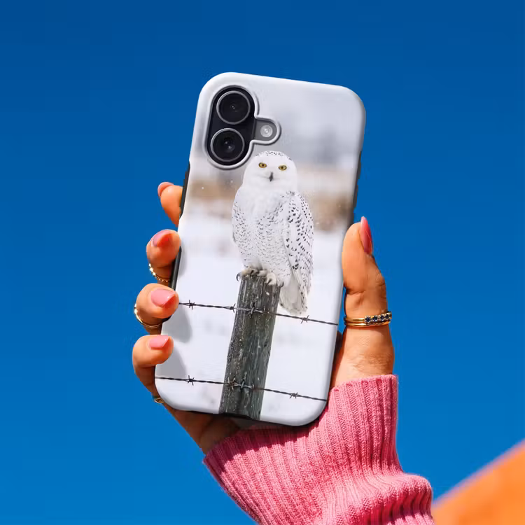 Sneeuwuil - Hek - Sneeuw - Wit Toughcase MagSafe Apple iPhone 17 klein -Sfeer1V