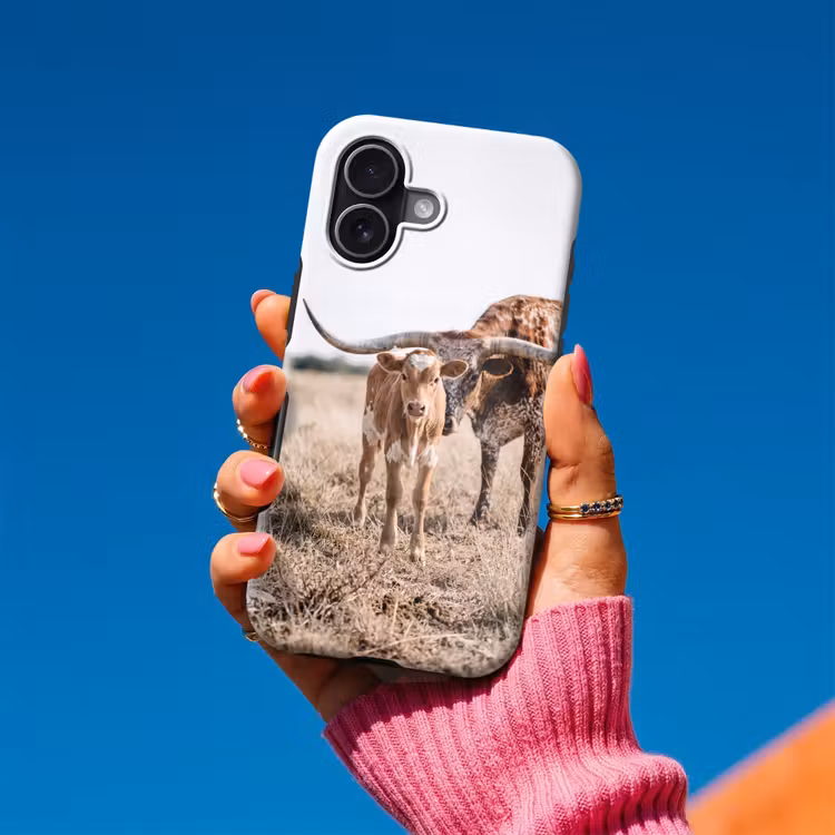Texas Longhorn - Kalf - Weide - Dieren Toughcase MagSafe Apple iPhone 17 klein -Sfeer1V