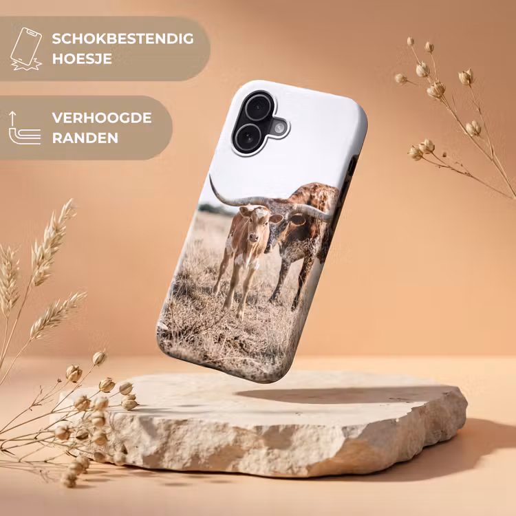 Texas Longhorn - Kalf - Weide - Dieren Toughcase MagSafe Apple iPhone 17 klein -USP_RandenV_NL