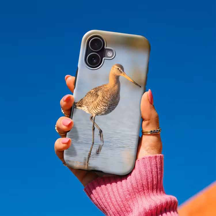 Vogel - Steltloper - Water - Natuur Toughcase MagSafe Apple iPhone 17 klein -Sfeer1V
