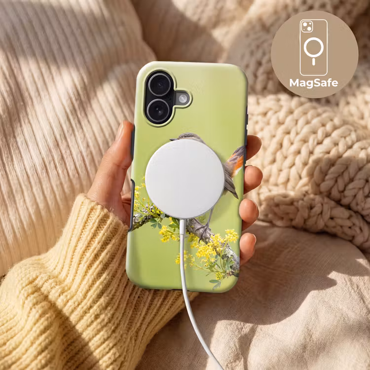 Vogel - Tak - Natuur - Kleurrijk Toughcase MagSafe Apple iPhone 17 klein -USP_MagsafeV