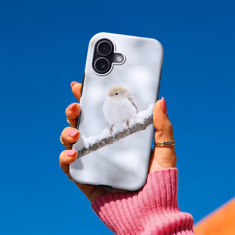 Vogeltje - Sneeuw - Tak - Winter - Zacht Toughcase MagSafe Apple iPhone 17 klein -Sfeer1V