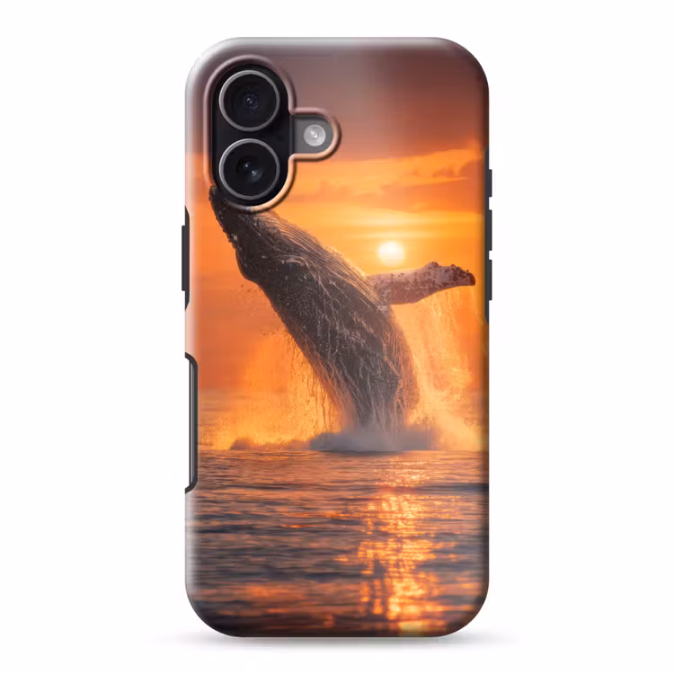 Walvis - Zon - Zee Toughcase MagSafe Apple iPhone 17 klein -3d