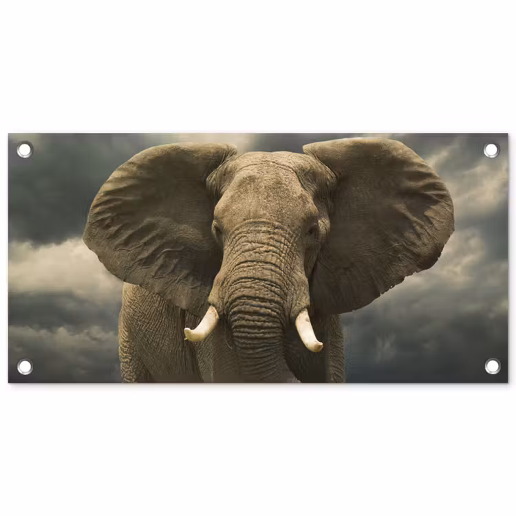 Afrikaanse olifant tegen de donkere wolken tuinposter los doek klein -3d