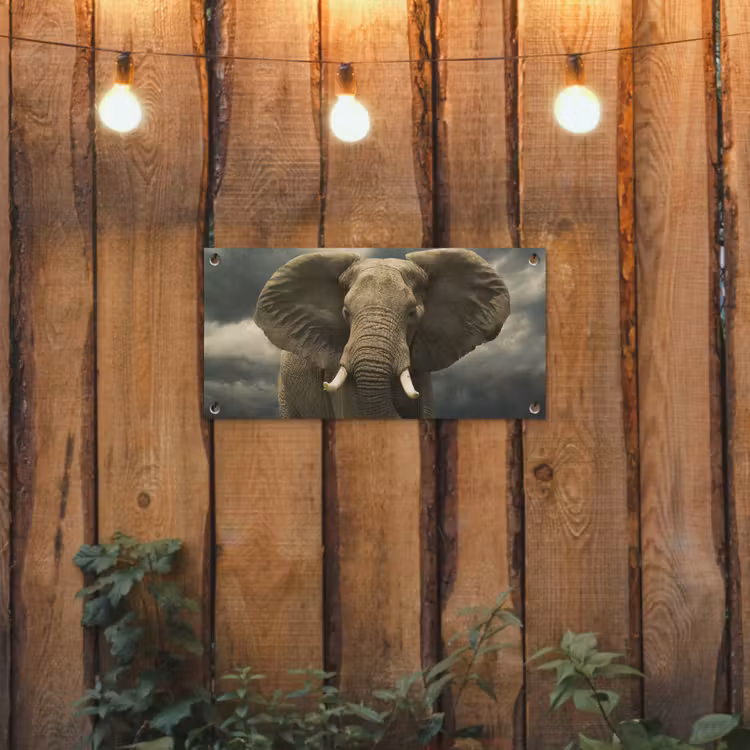 Afrikaanse olifant tegen de donkere wolken tuinposter los doek klein -sfeer1