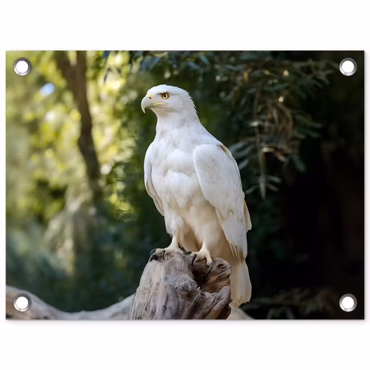 Arend - Hout - Wit - Planten tuinposter los doek klein -3d