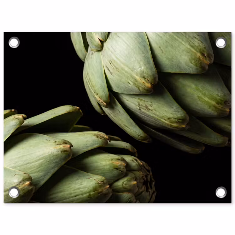 Tuinposter - Artisjok - Groen - Eten - Artisjok - Groen - Eten tuinposter los doek klein